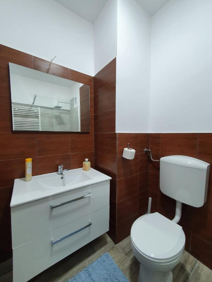 Petrosani Camere De Inchiriat - Hotel Petroshani Srl Екстер'єр фото
