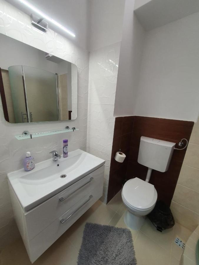 Petrosani Camere De Inchiriat - Hotel Petroshani Srl Екстер'єр фото