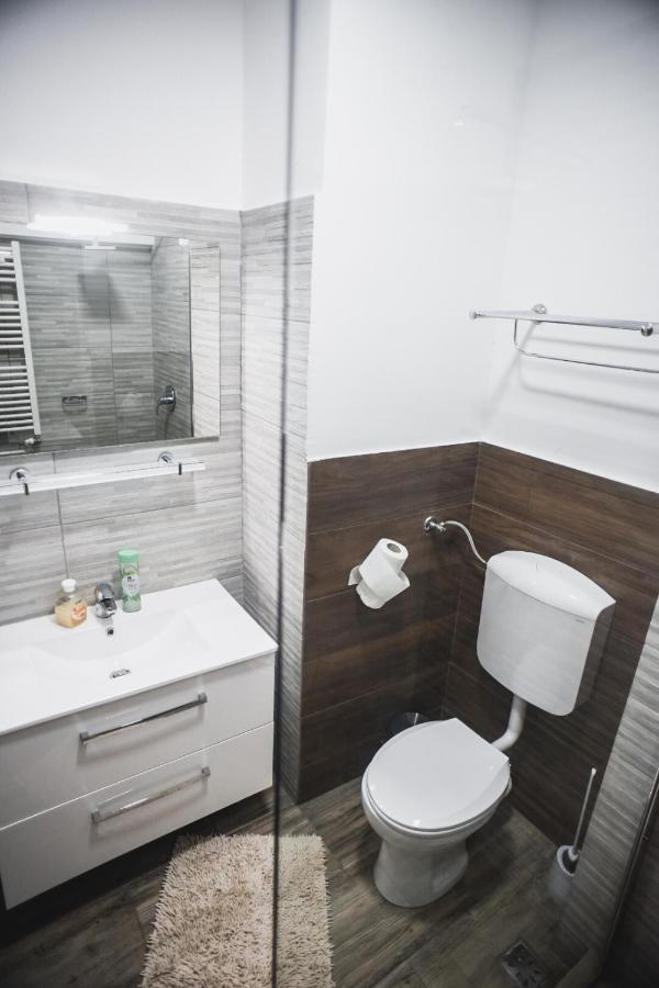 Petrosani Camere De Inchiriat - Hotel Petroshani Srl Екстер'єр фото