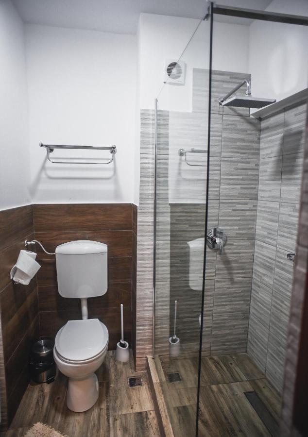 Petrosani Camere De Inchiriat - Hotel Petroshani Srl Екстер'єр фото